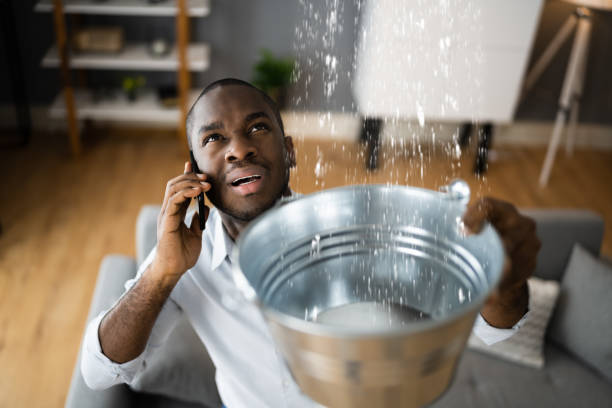 Best Water damage contractors near me  in Atoka, TN