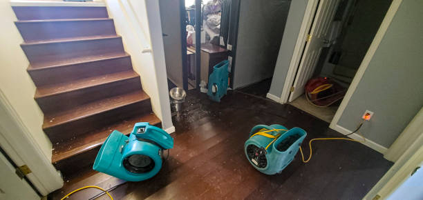 Best Local water damage restoration  in Atoka, TN
