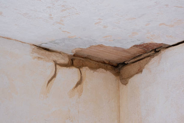 Best Carpet water damage restoration  in Atoka, TN