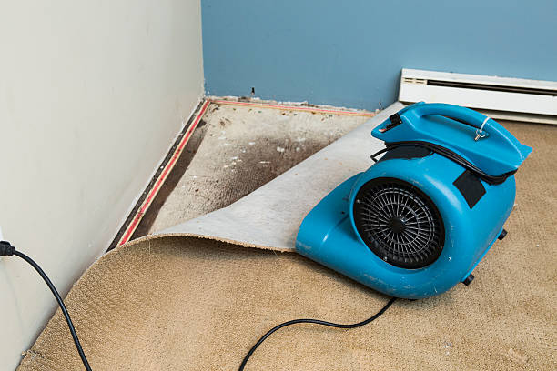 Best Water damage restoration near me  in Atoka, TN